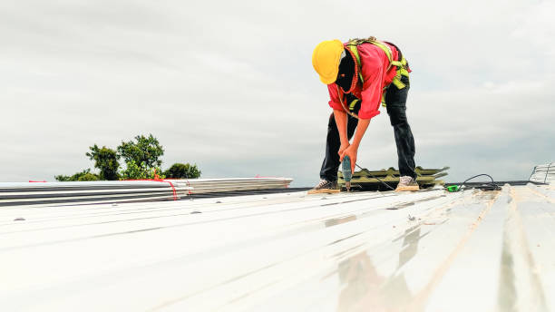 Best Solar Panel Roofing Installation  in Butte, AK