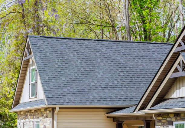 Roof Insulation Installation in Butte, AK