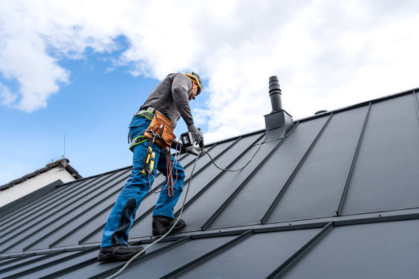 Best Roof Coating and Sealing  in Butte, AK